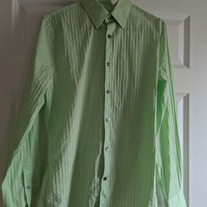 Express Fitted Light Green Dress Shirt